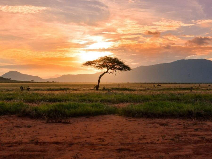 East Africa travel